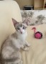 Mia (7)8
